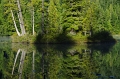 Alice Lake Provincial Park 'Stump Lake' 29_09_2011 (64)